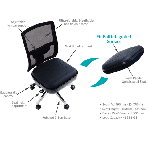  The Original McKenzie Signature Slimline Lumbar Support - Low  Back Support for Office Chairs and Car Seats – Back Support for Smaller  Body Types : Health & Household